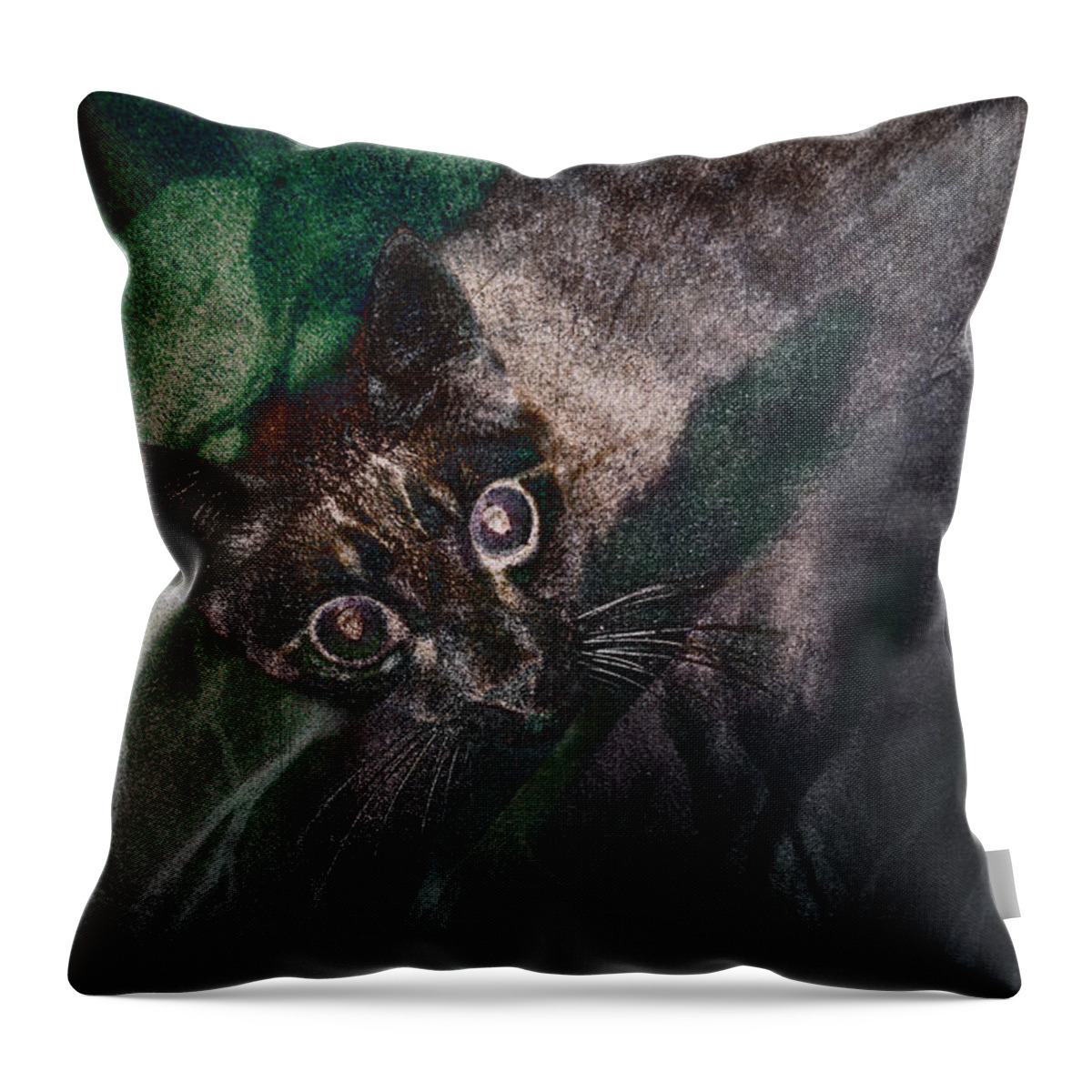 Photography Throw Pillow featuring the photograph Dreams of the Wild by Craig Boehman
