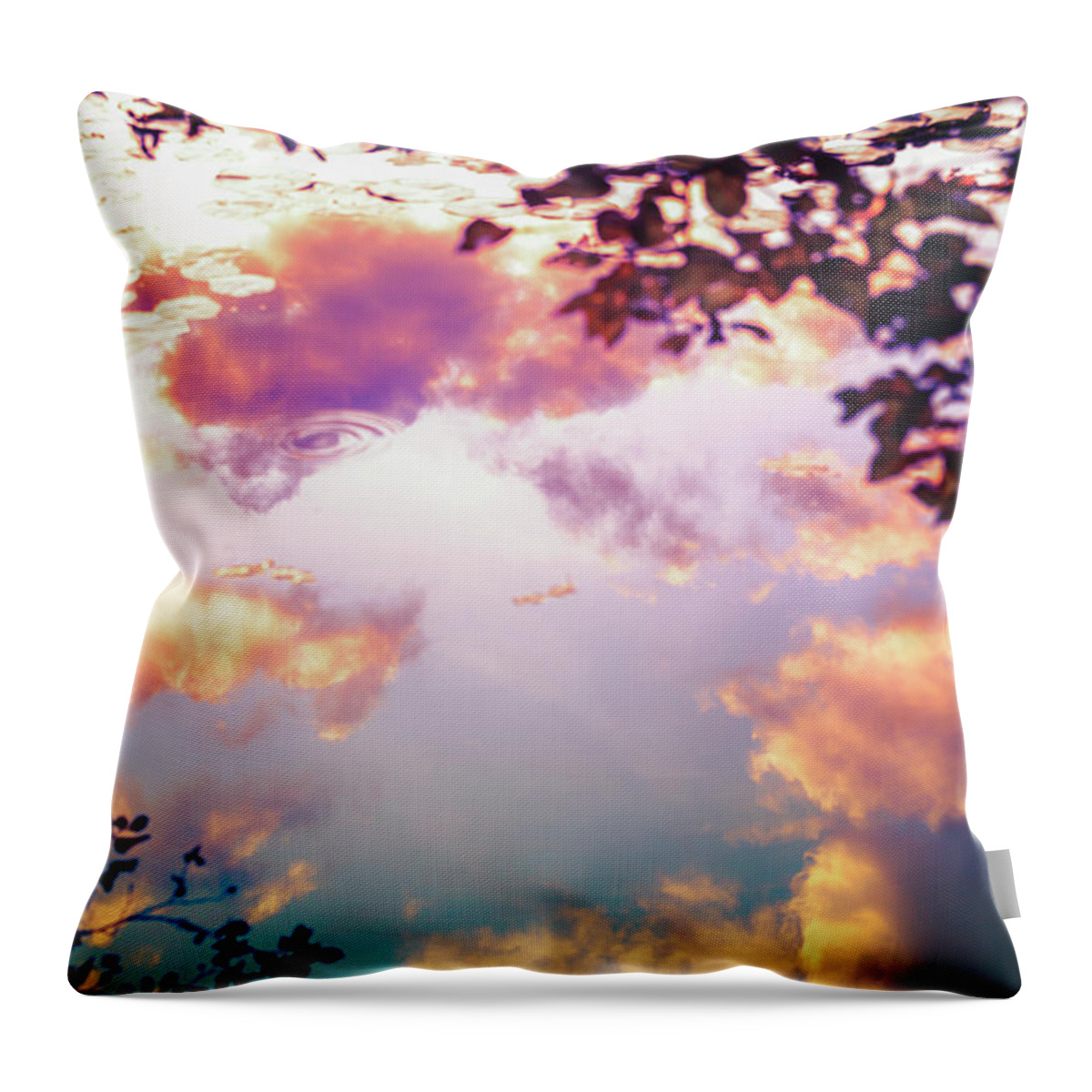 Reflection Throw Pillow featuring the photograph Dreamy Reflections by Becqi Sherman