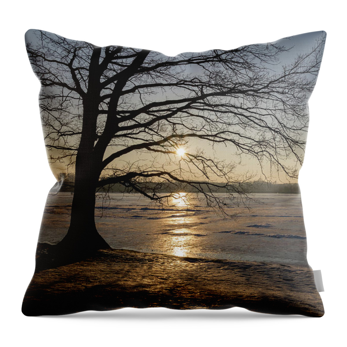 Dreamy Throw Pillow featuring the photograph Winter sunset at Moritzburg Castle 1 by Adriana Mueller