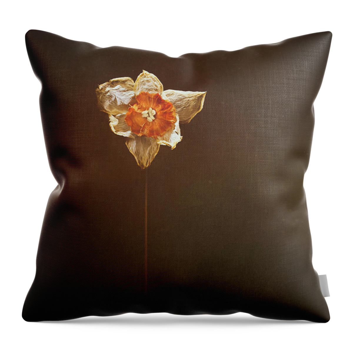 Daffodil Throw Pillow featuring the photograph Dried Daffodil by Scott Norris