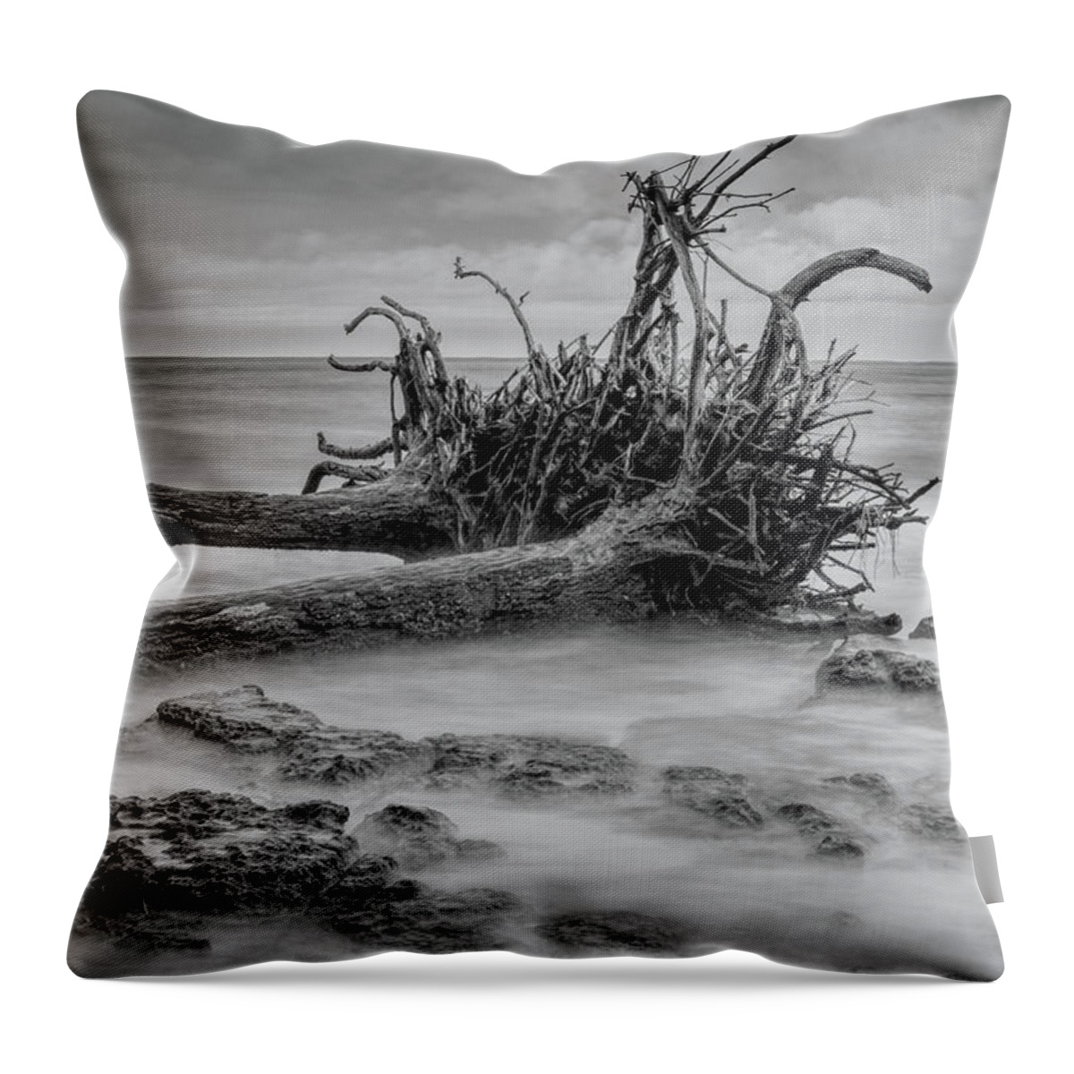 Black Throw Pillow featuring the photograph Driftwood Beach in Black and White by Carolyn Hutchins