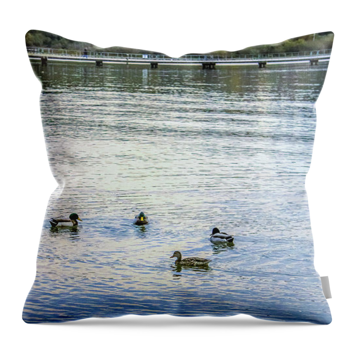 Animals Throw Pillow featuring the photograph Ducks on the lake by Anamar Pictures