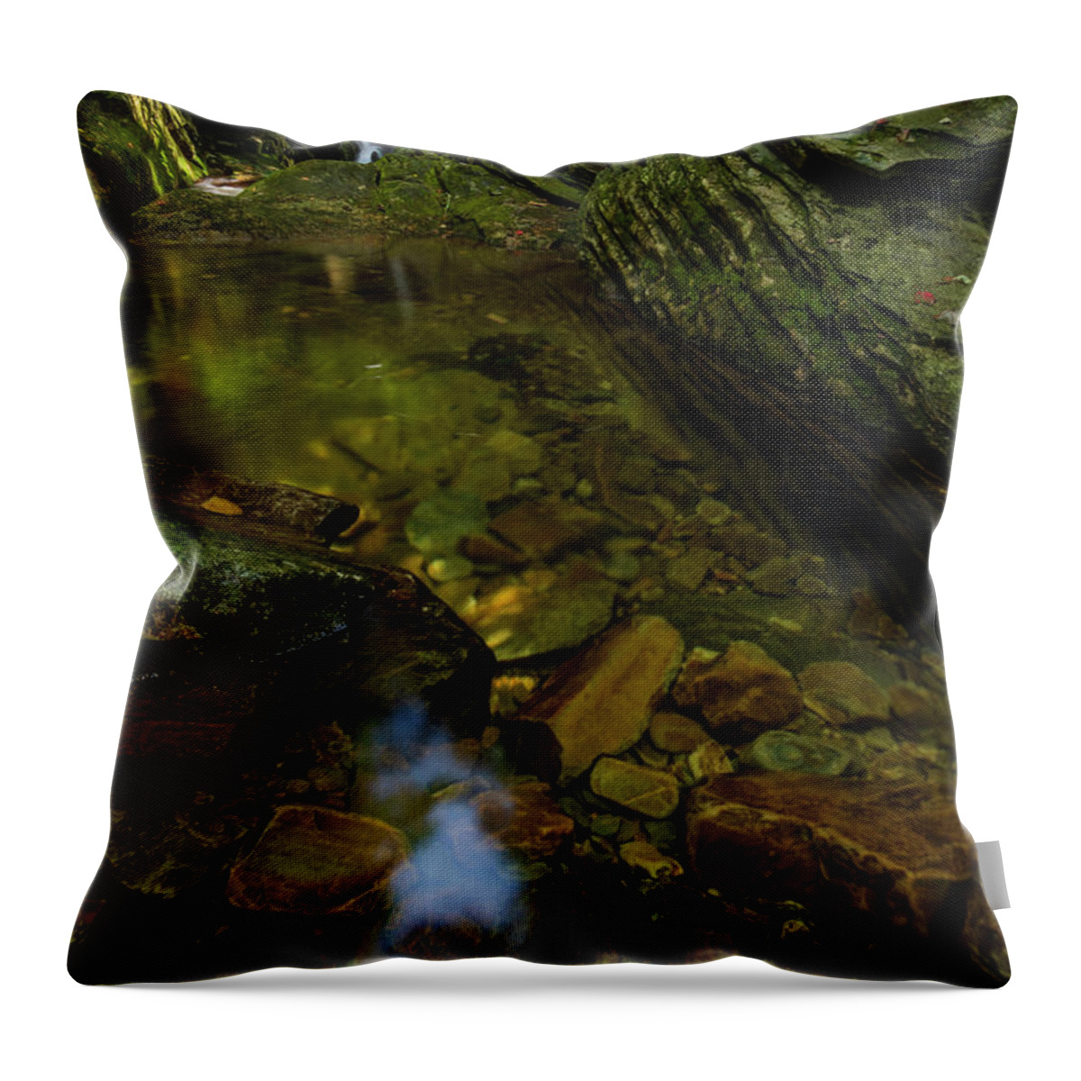 Blue Ridge Mountains Throw Pillow featuring the photograph Duggars Creek Falls 2 by Melissa Southern