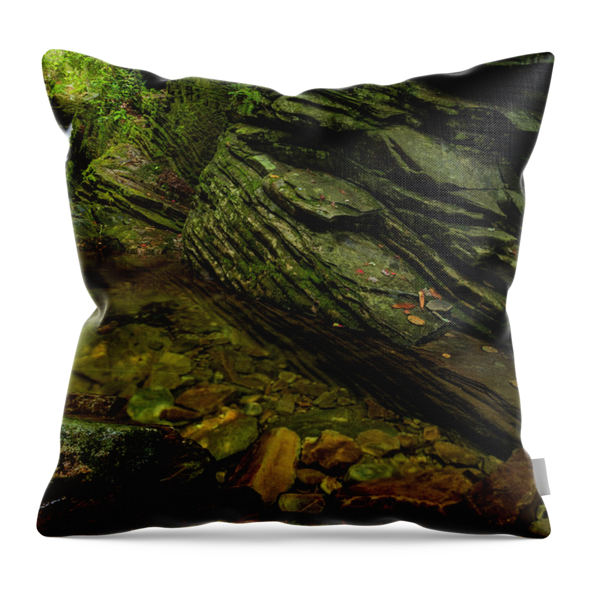 Blue Ridge Mountains Throw Pillow featuring the photograph Duggars Creek Falls 3 by Melissa Southern
