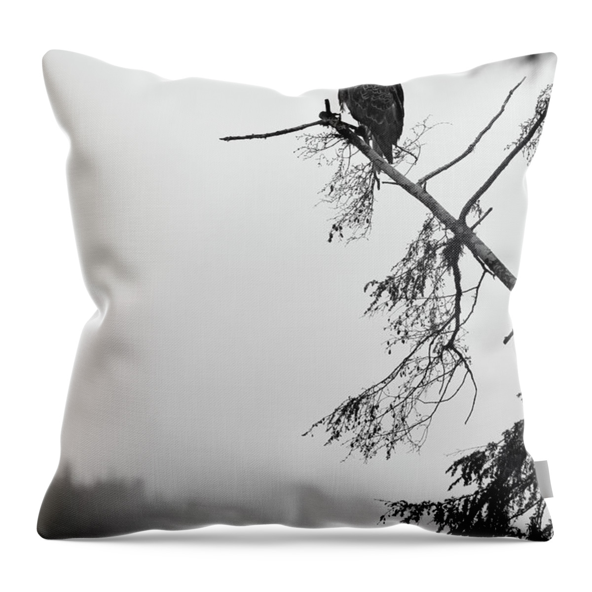  Throw Pillow featuring the photograph Eagle Black and White by Michael Rauwolf