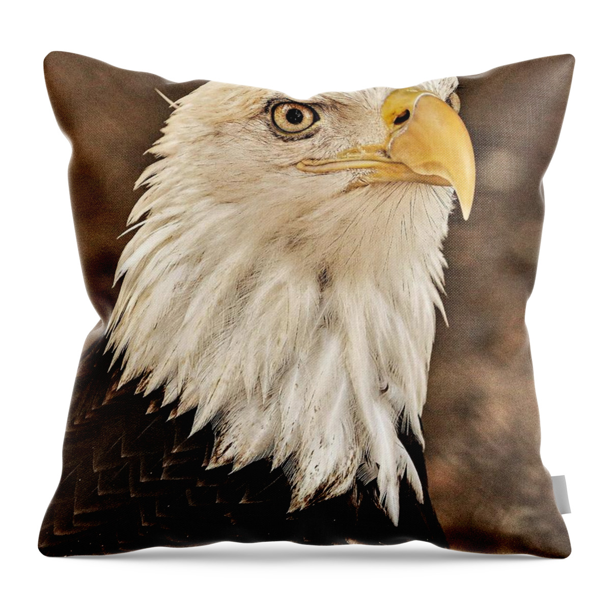 Eagle Eye Feathers Close Yellow Throw Pillow featuring the photograph Eagle by John Linnemeyer