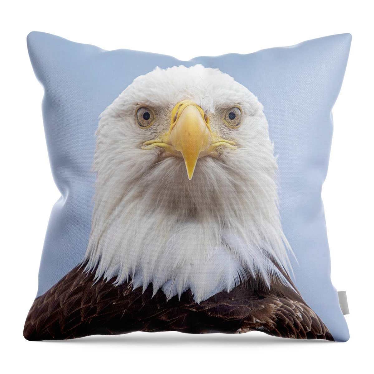 Eagle Throw Pillow featuring the photograph Eagle Stare by Michael Rauwolf