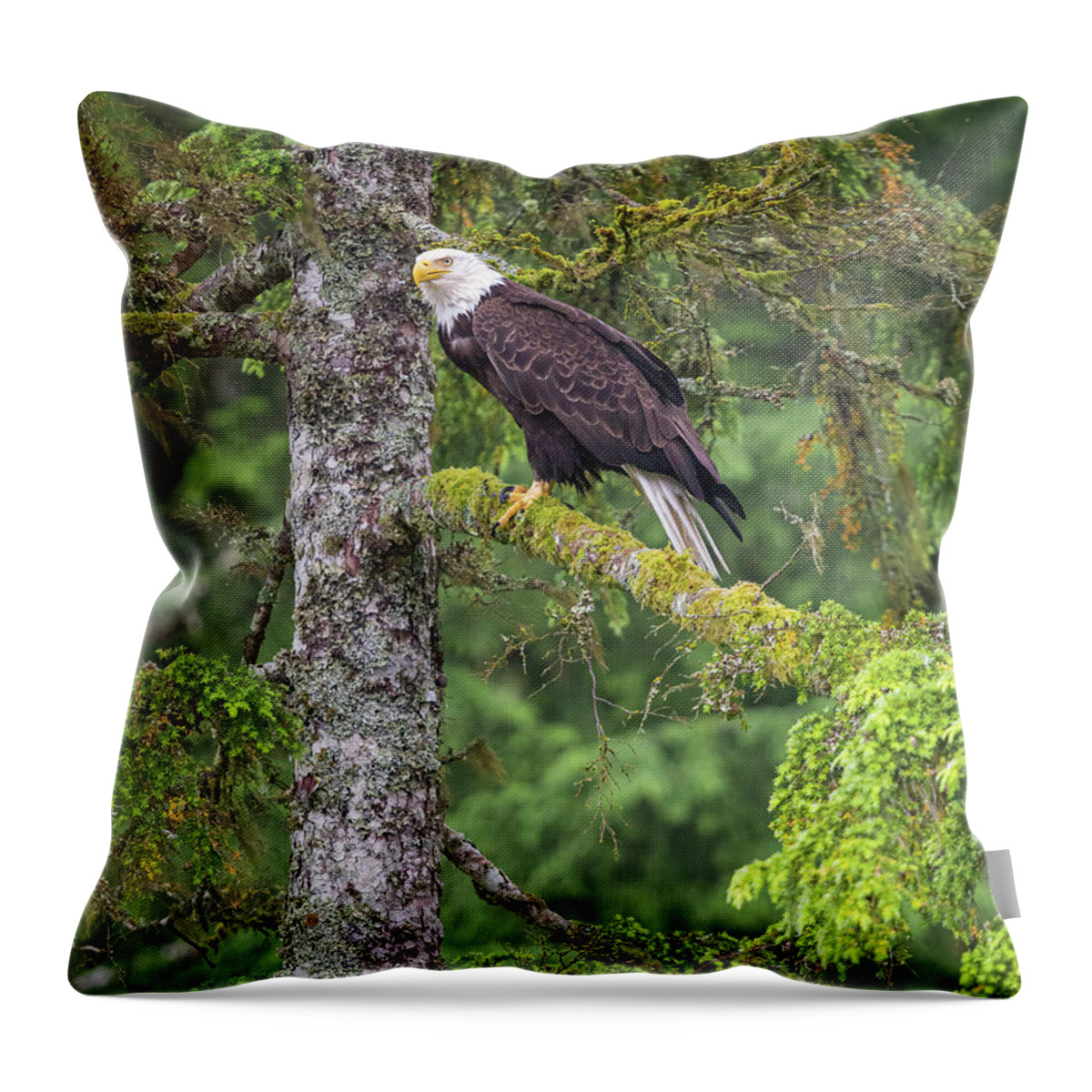 Eagle Throw Pillow featuring the photograph Eagle Tree by Michael Rauwolf