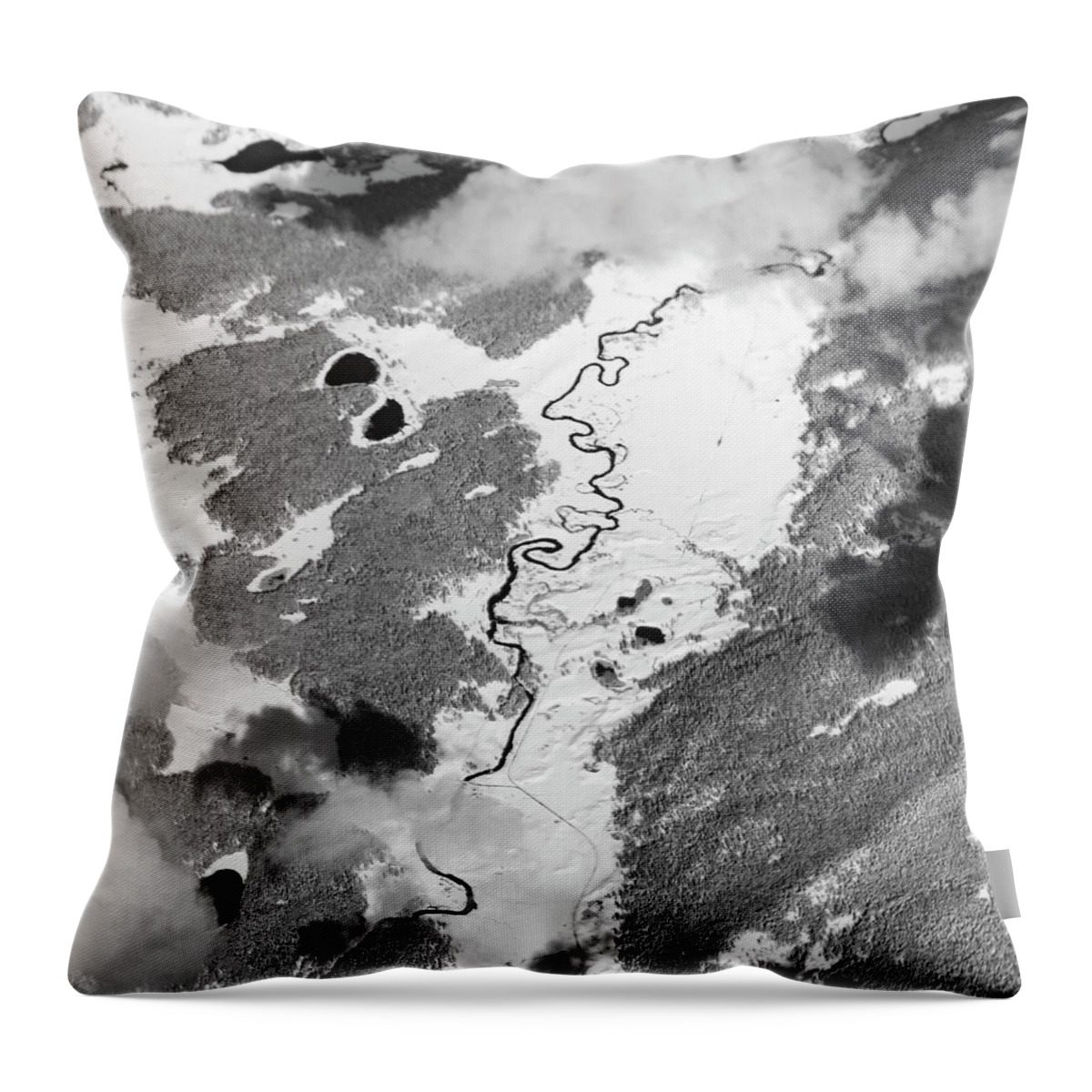 Aerial Throw Pillow featuring the photograph Eagle View by Melissa Southern