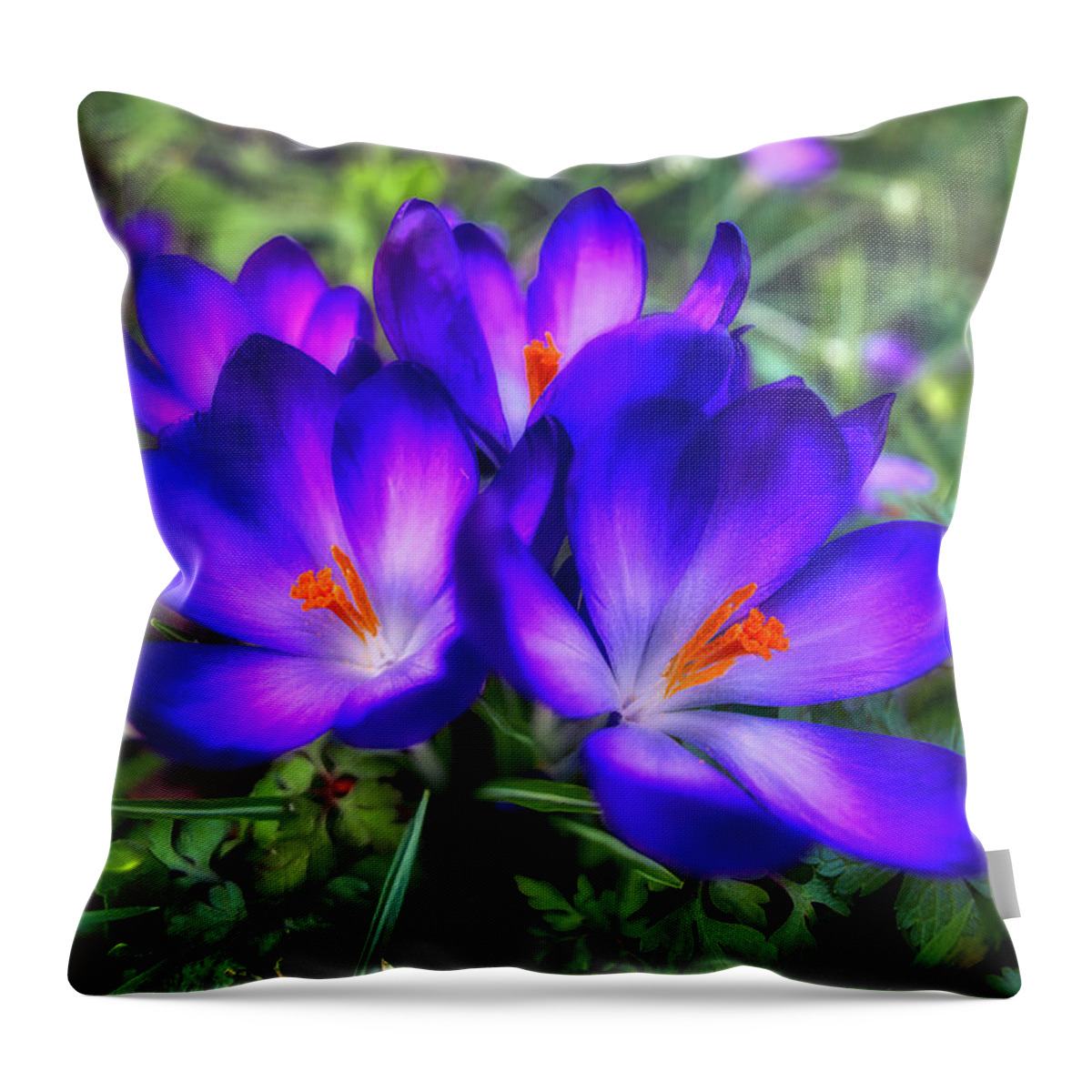 Flower Throw Pillow featuring the photograph Early Crocus by Micah Offman