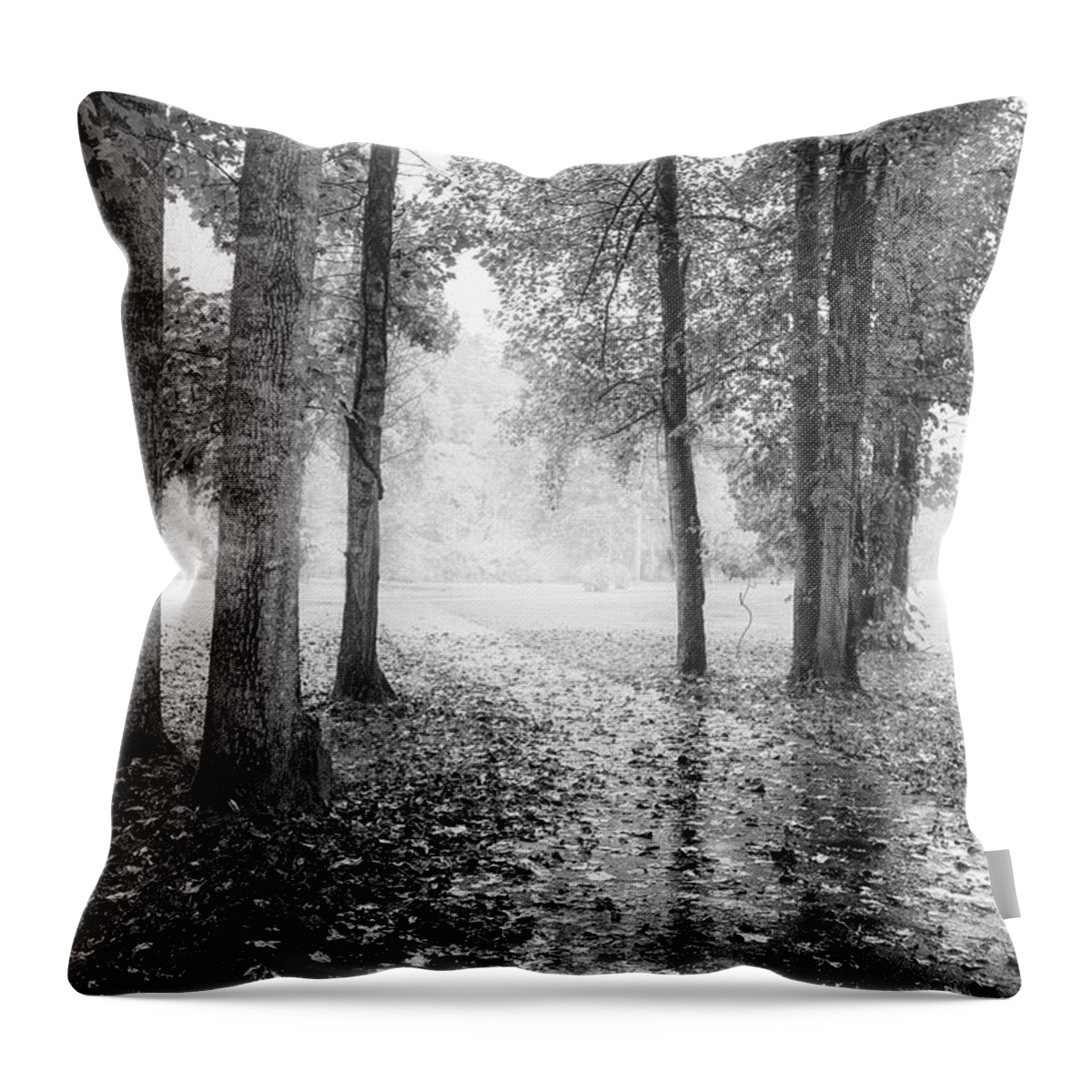 Carolina Throw Pillow featuring the photograph Early Morning Walk Black and White by Debra and Dave Vanderlaan
