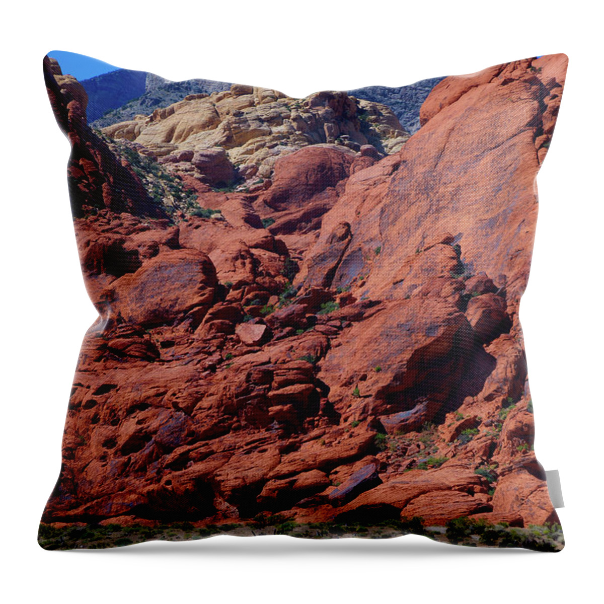  Throw Pillow featuring the photograph Earth Contrasts by Rodney Lee Williams