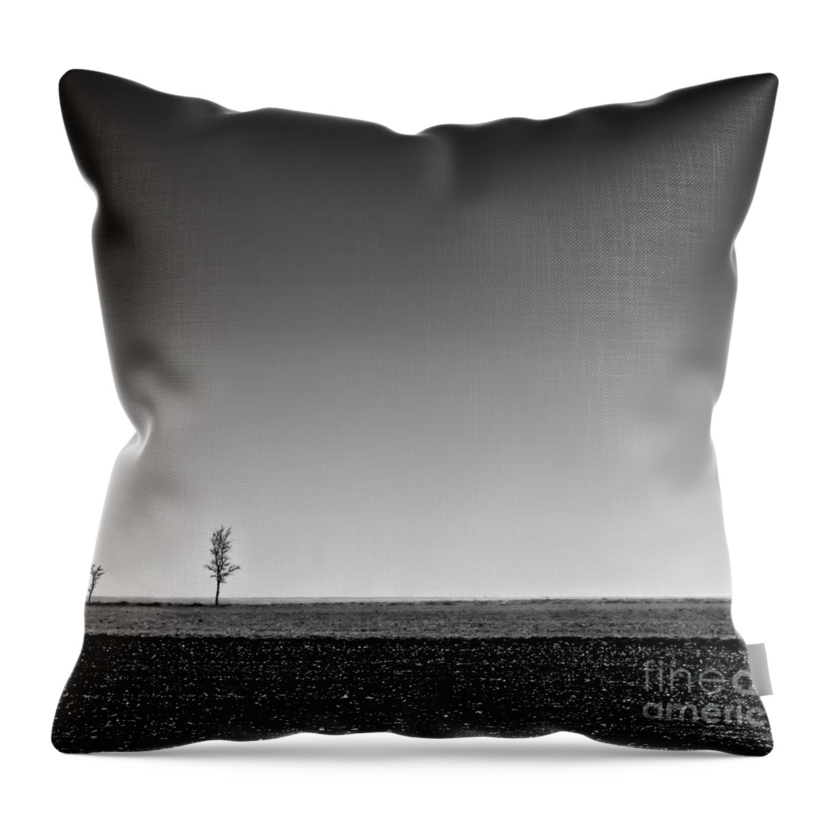 Earth Is Ready For Seeding - Graphics Of Spring Fields Throw Pillow featuring the photograph Earth Is Ready For Seeding - Graphics Of Spring Fields by Tatiana Bogracheva