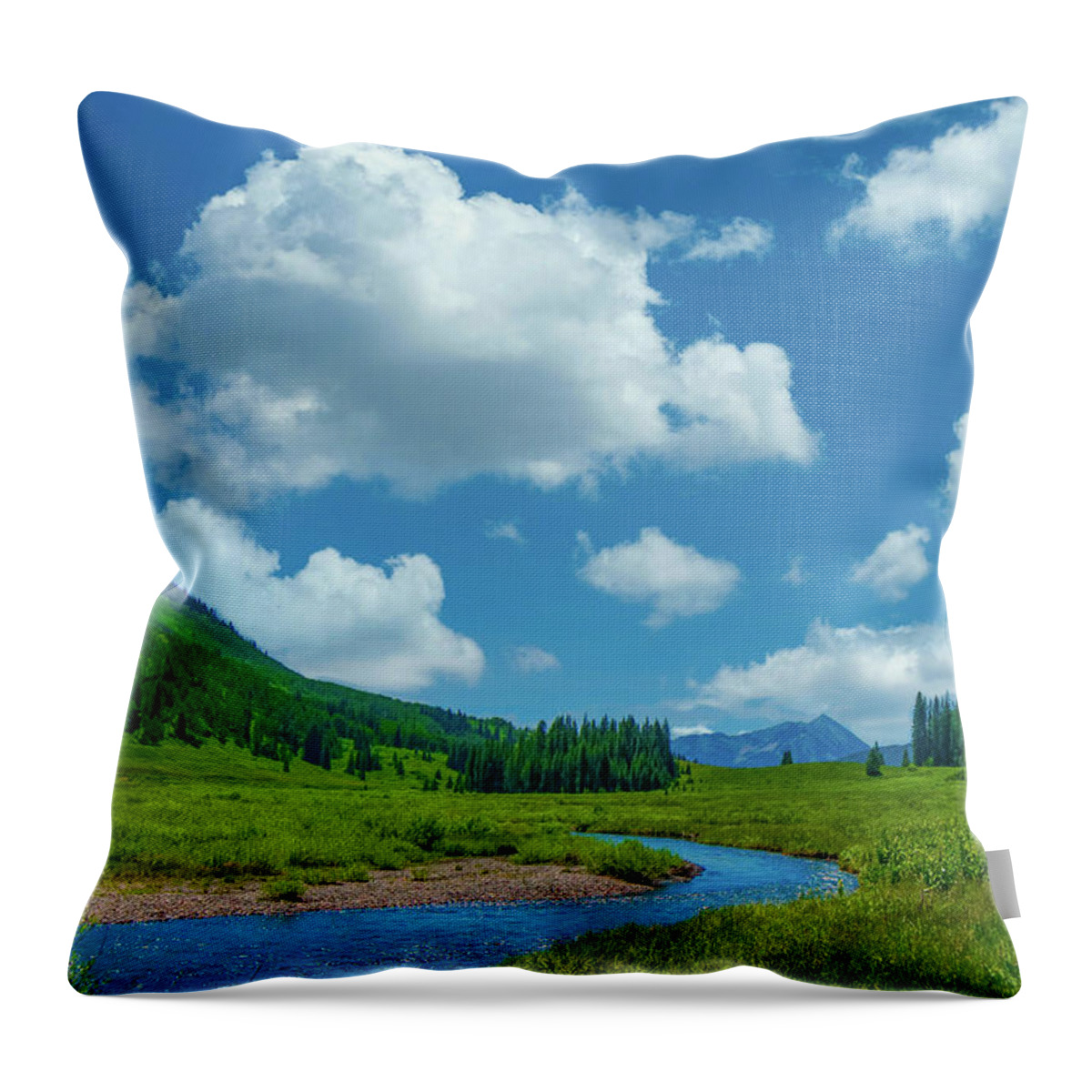 Calm Throw Pillow featuring the photograph East River at Crested Butte, Mountain River Winding Through Lush Green Pasture by Tom Potter