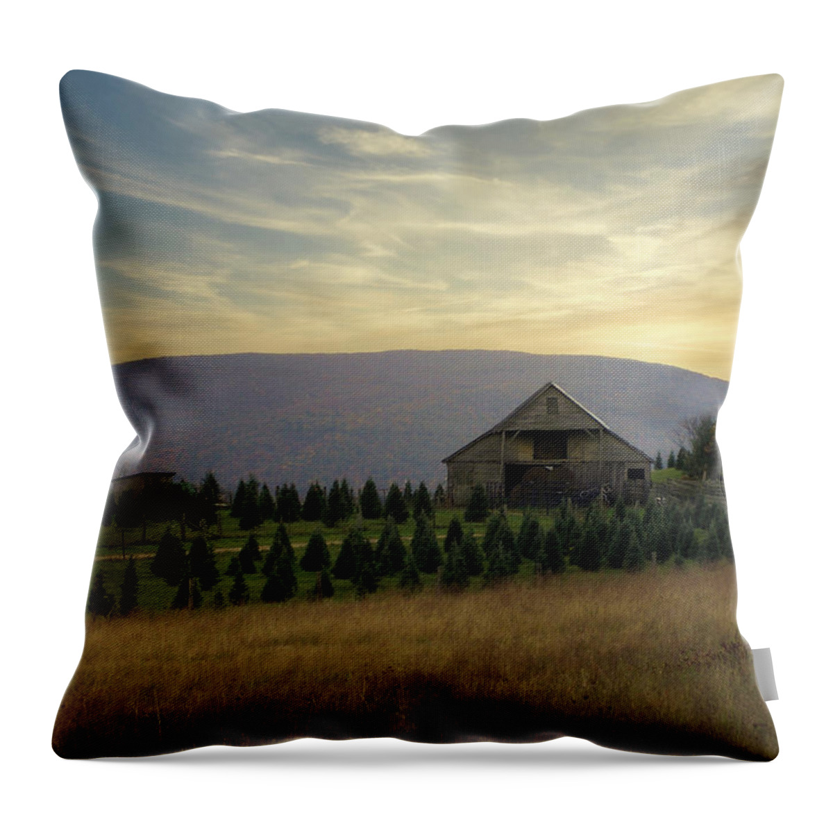 Landscape Throw Pillow featuring the photograph Echoes in the Mountains by Stacy Abbott