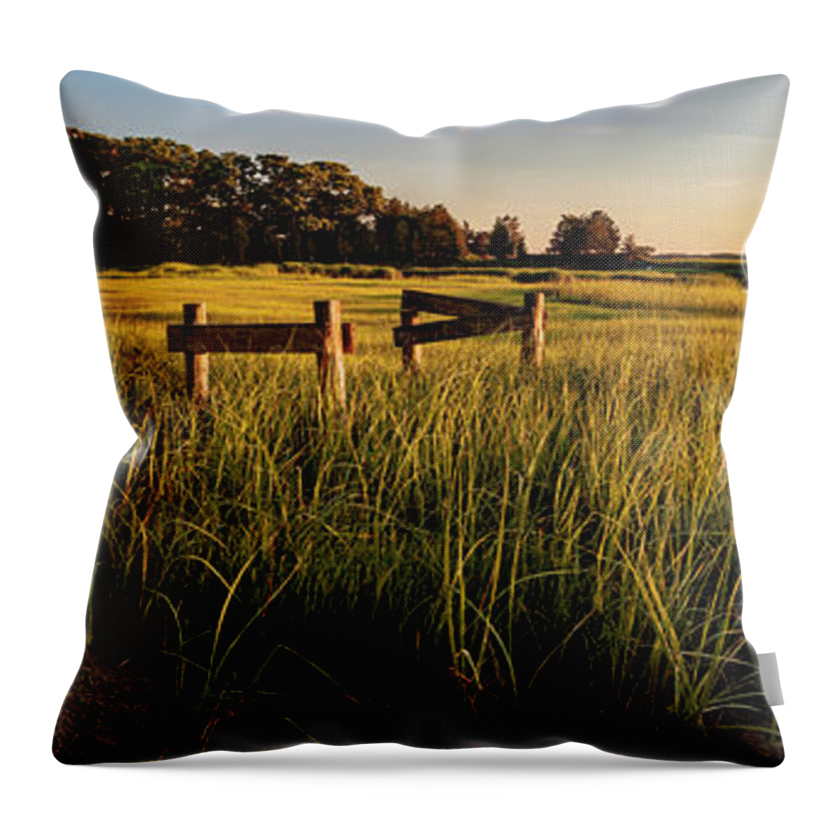 Wareham Throw Pillow featuring the photograph Edgewater by David Lee