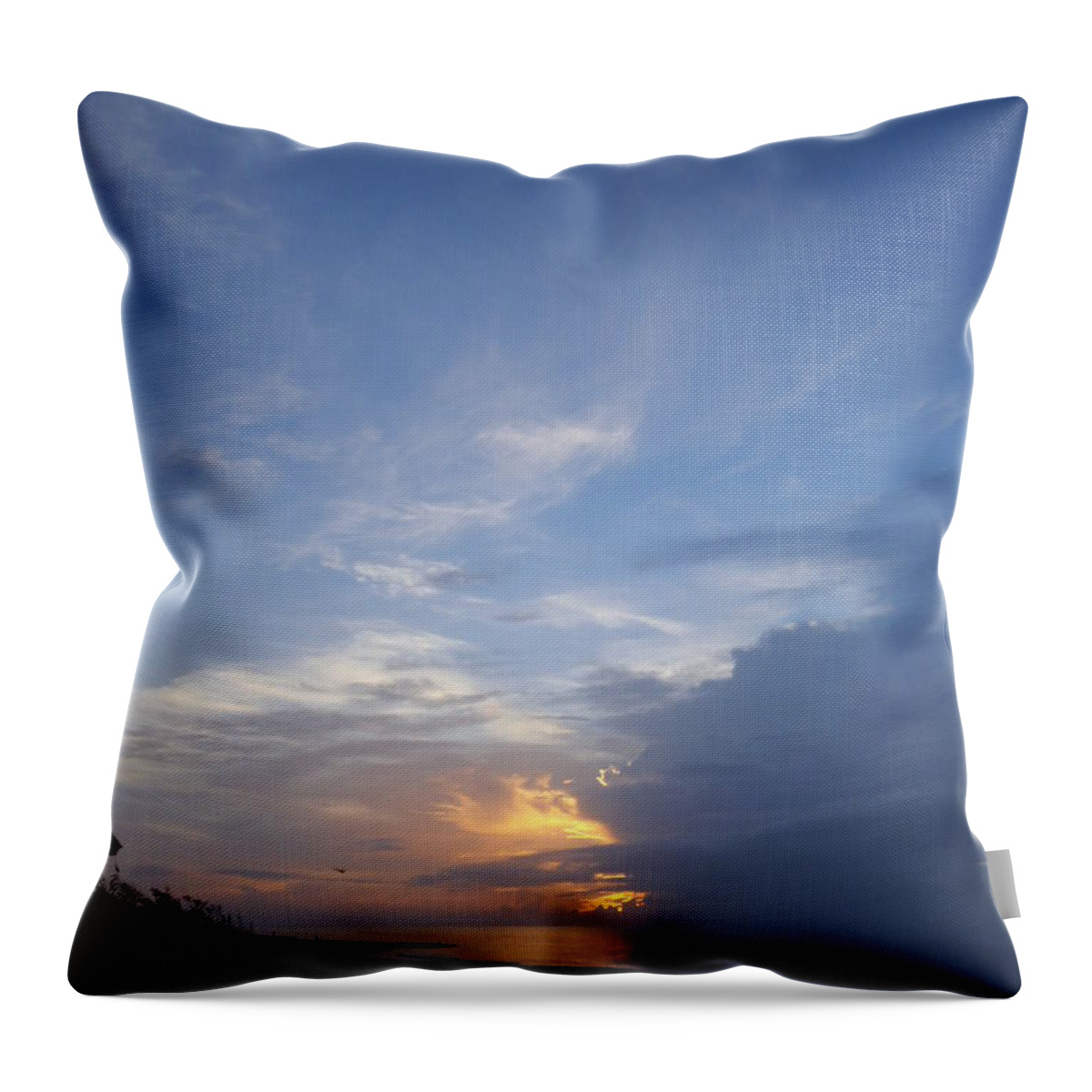  Throw Pillow featuring the photograph Edisto Morning by Heather E Harman