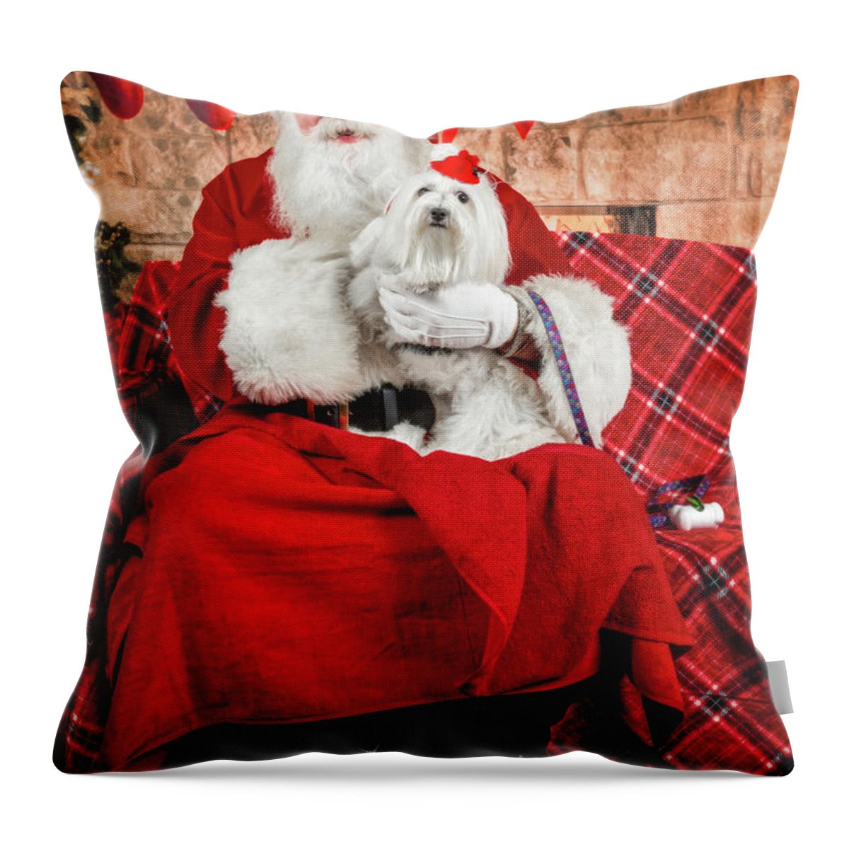 Emmy Throw Pillow featuring the photograph Emmy with Santa 1 by Christopher Holmes