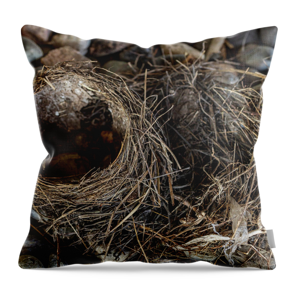 Animals Throw Pillow featuring the photograph Empty Nest - Wildlife Photography 2 by Amelia Pearn