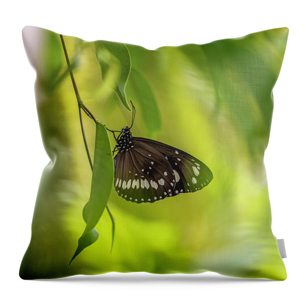 Green Leaves Throw Pillow featuring the photograph Enchanted by Az Jackson