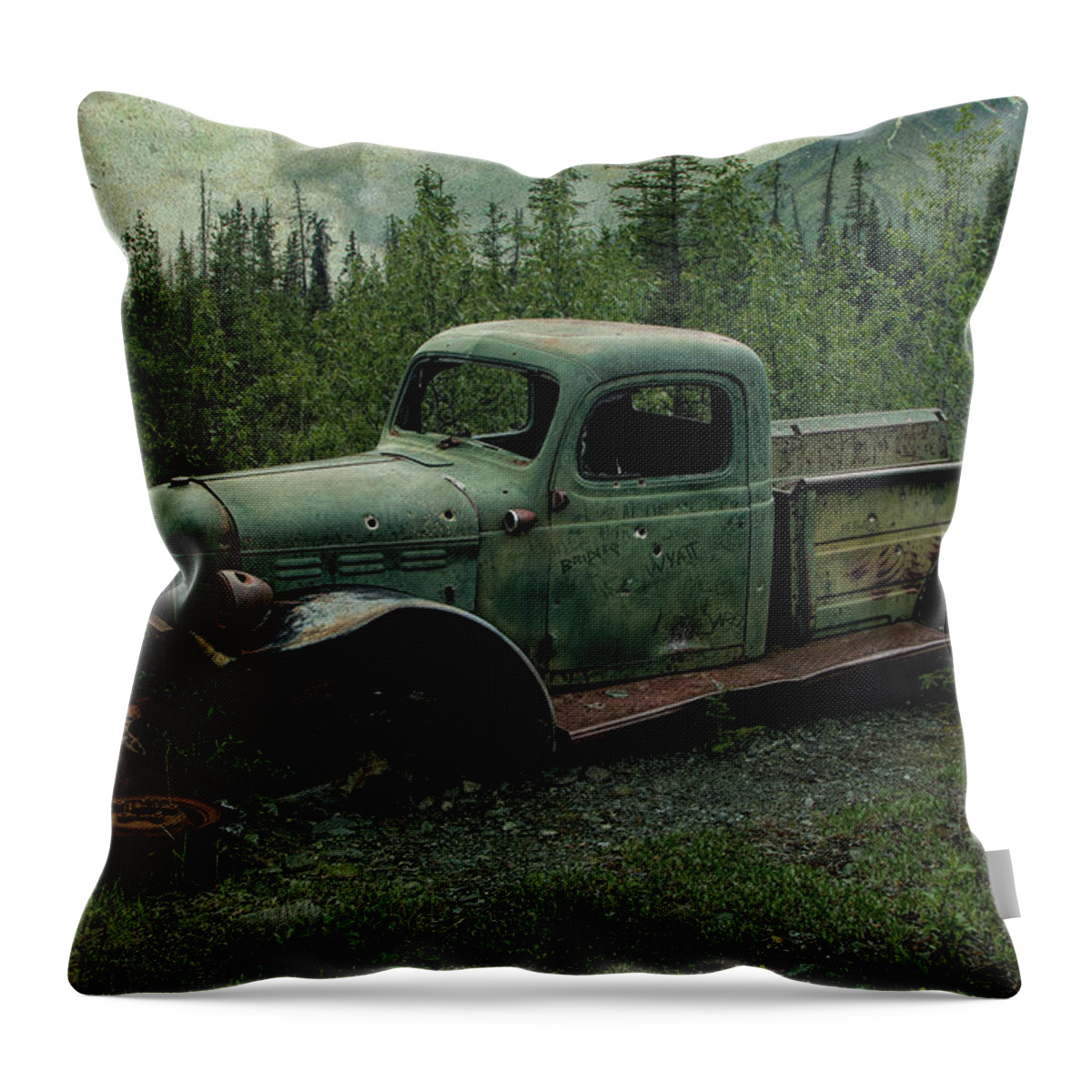 Alaska Throw Pillow featuring the photograph End Of The Line by Fred Denner