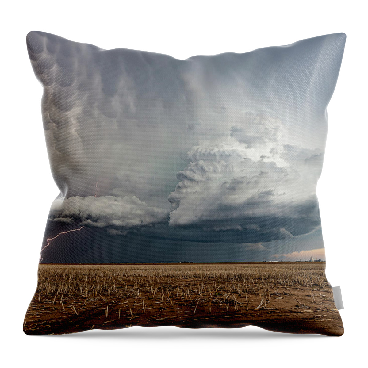 Storm Throw Pillow featuring the photograph Evening Harvest by Marcus Hustedde
