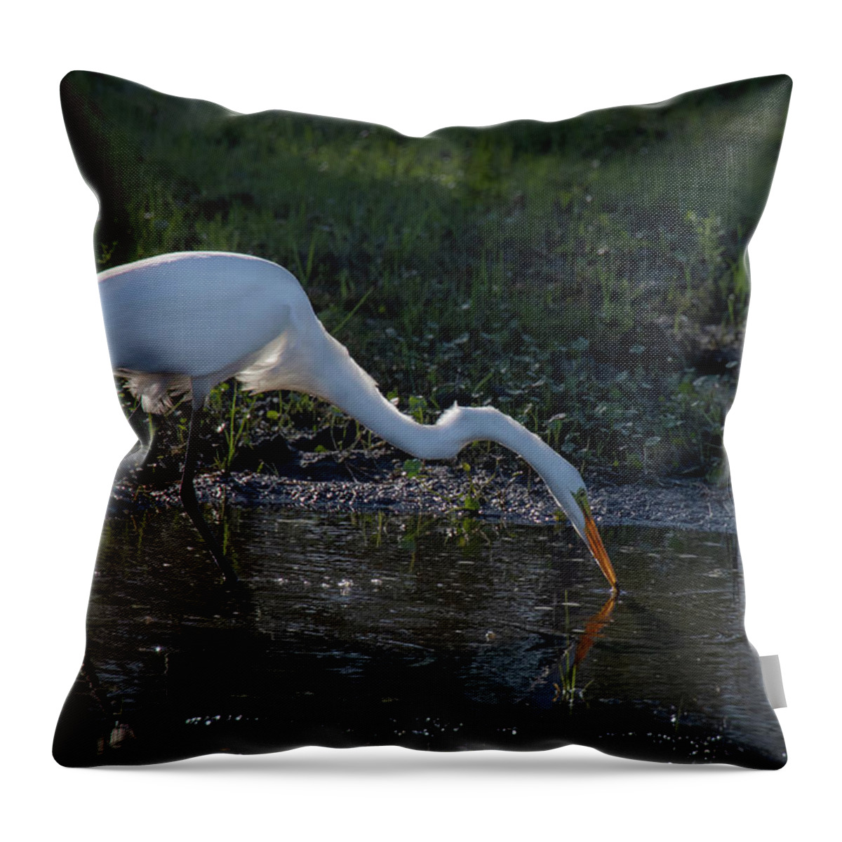 Egret Throw Pillow featuring the photograph Evening Visitor by M Kathleen Warren