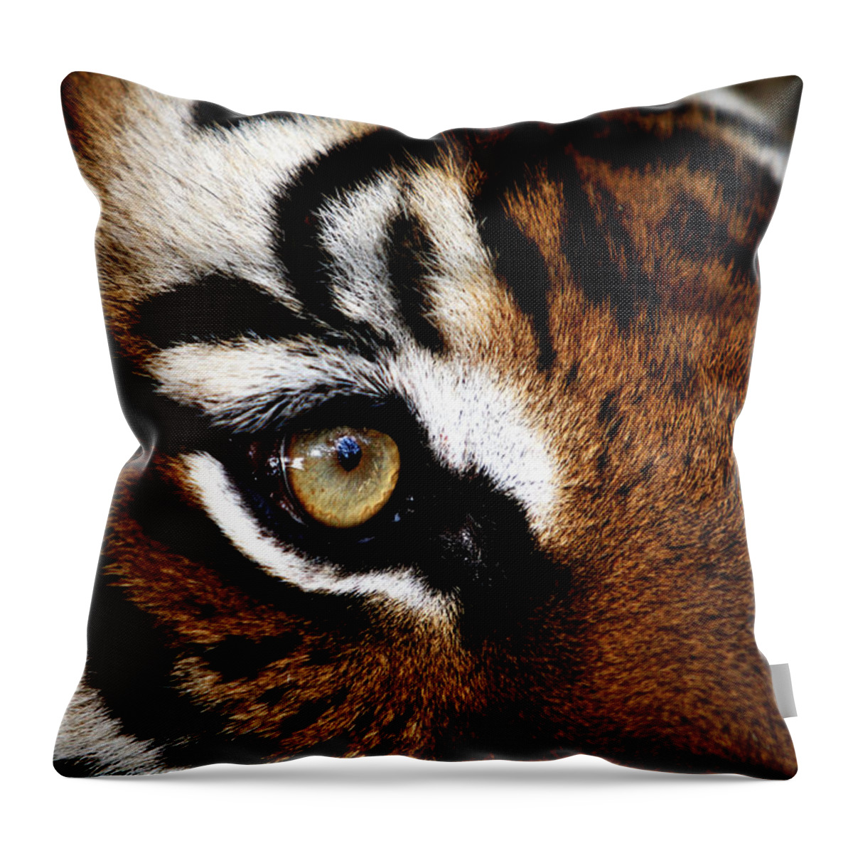 Tiger Throw Pillow featuring the photograph Eyes of the Tiger by Brad Barton