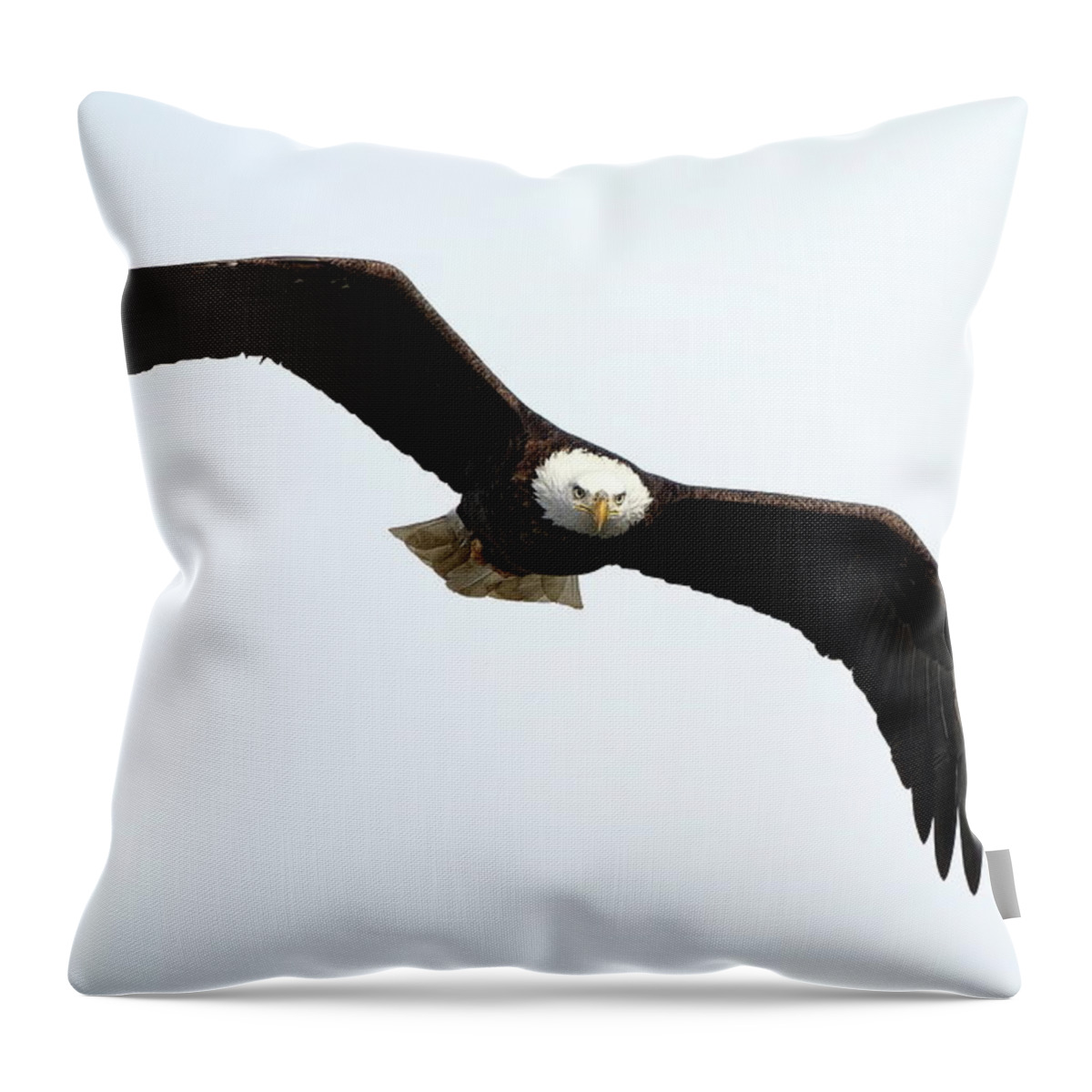 Bird Throw Pillow featuring the photograph Eyes On The Prize by Lens Art Photography By Larry Trager
