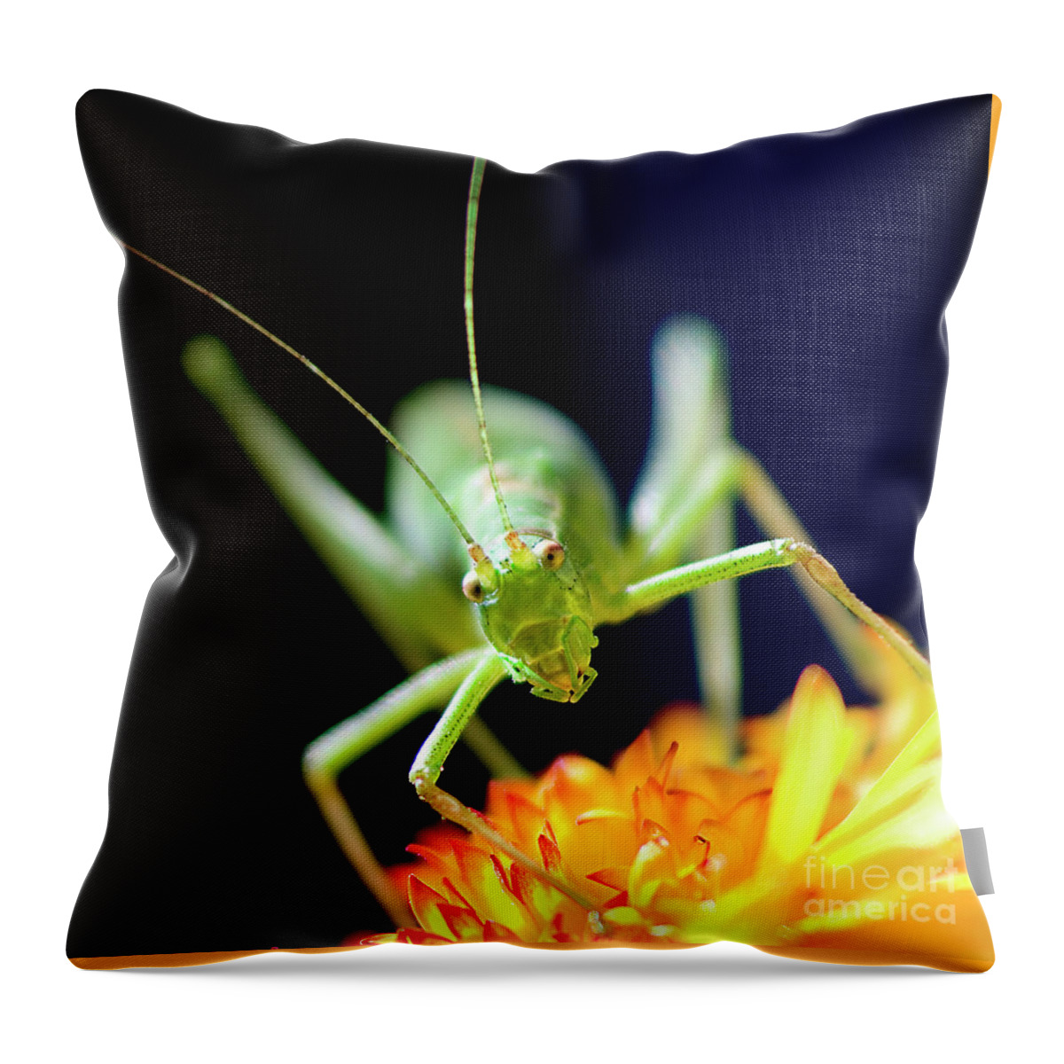 Face To Face Throw Pillow featuring the photograph Face To Face, Pop-eyed Beauty, by Tatiana Bogracheva