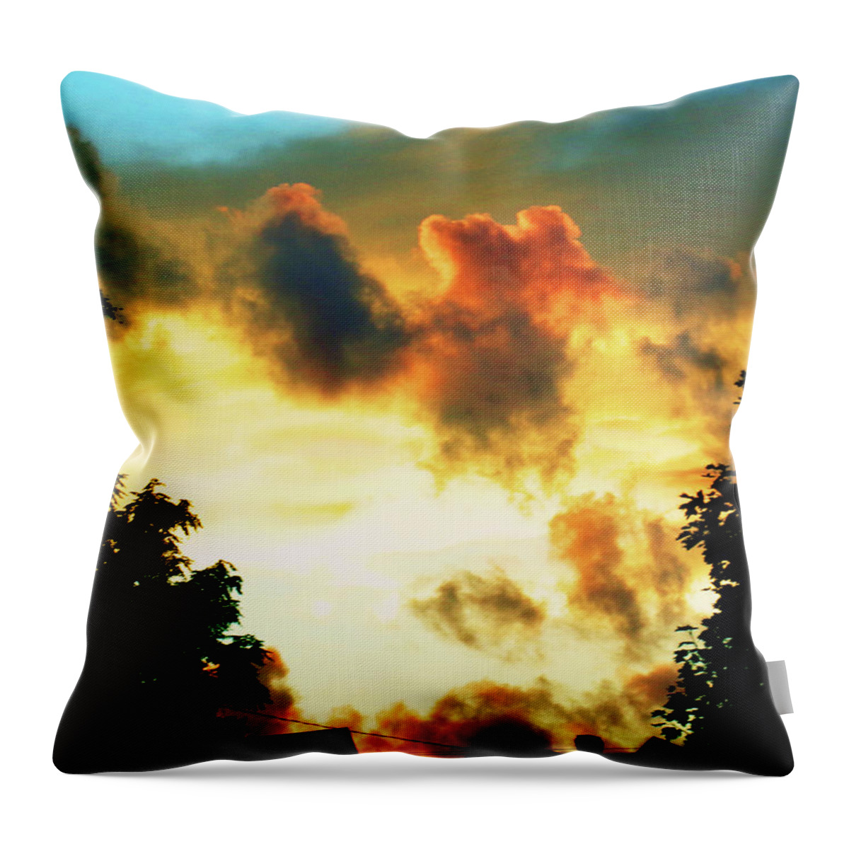 Fall Throw Pillow featuring the photograph Fall Sunset by Christopher Reed