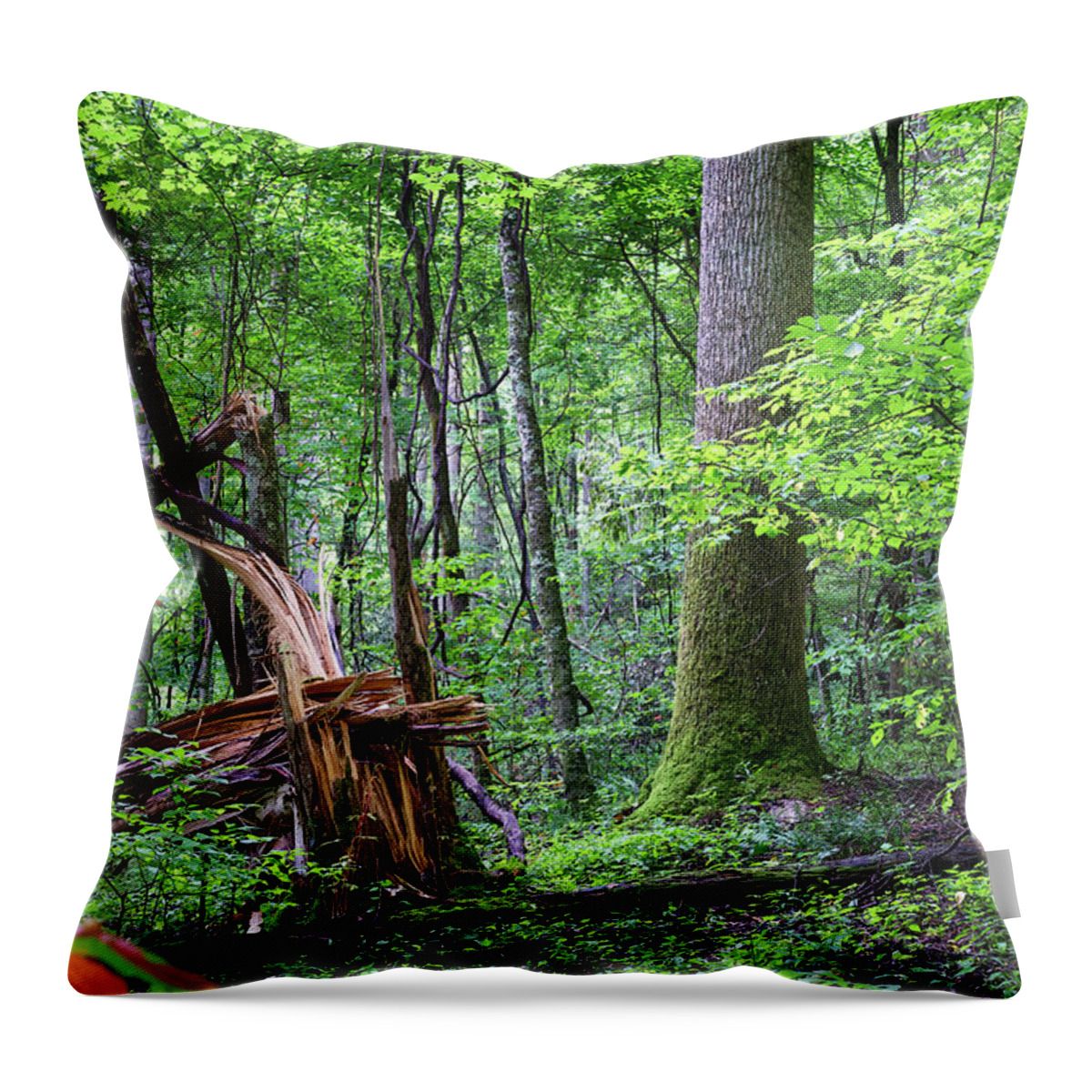 Tree Throw Pillow featuring the digital art Fallen Tree by Phil Perkins