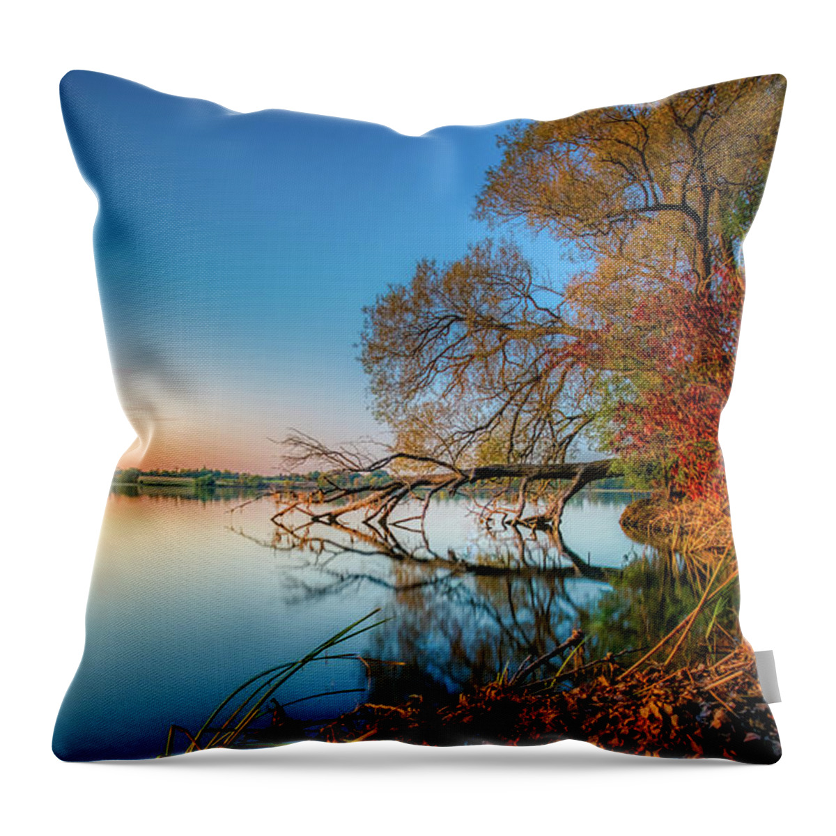 Trees Throw Pillow featuring the photograph Fallen Tree Reflection by Dee Potter