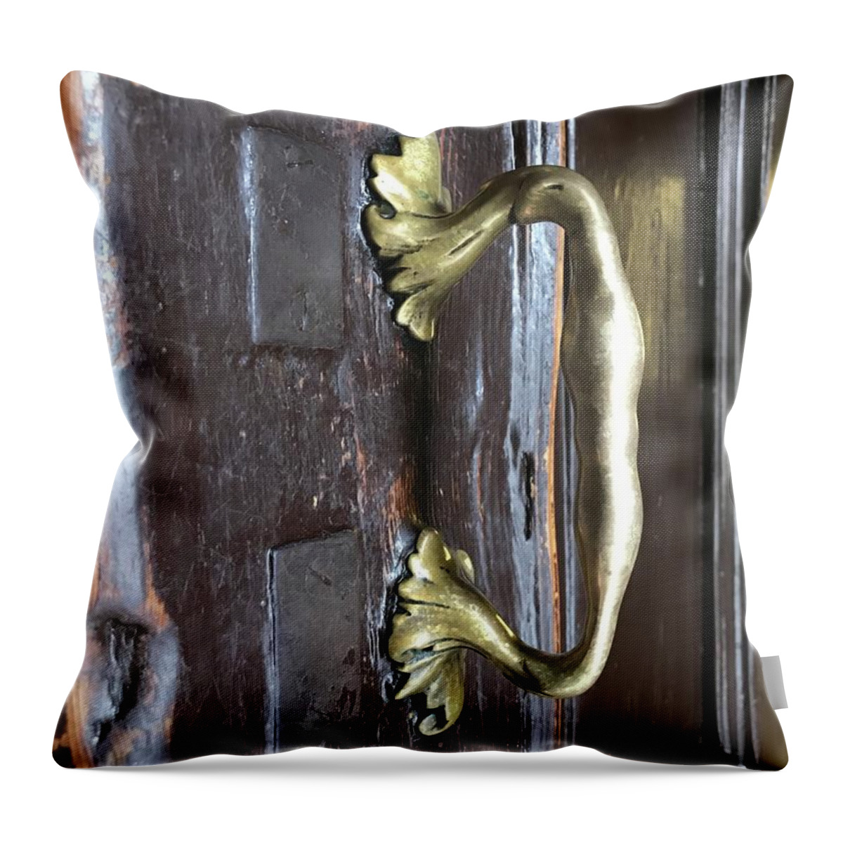 Throw Pillow featuring the photograph Fara2019 by Mary Kobet