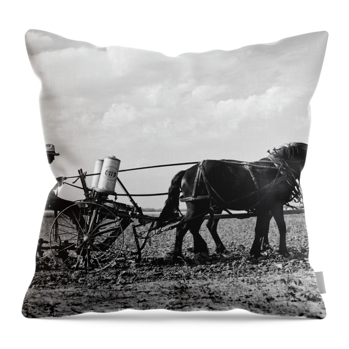 1 Person Throw Pillow featuring the photograph Farmer Fertilizing Corn by Underwood Archives  Arthur Rothstein