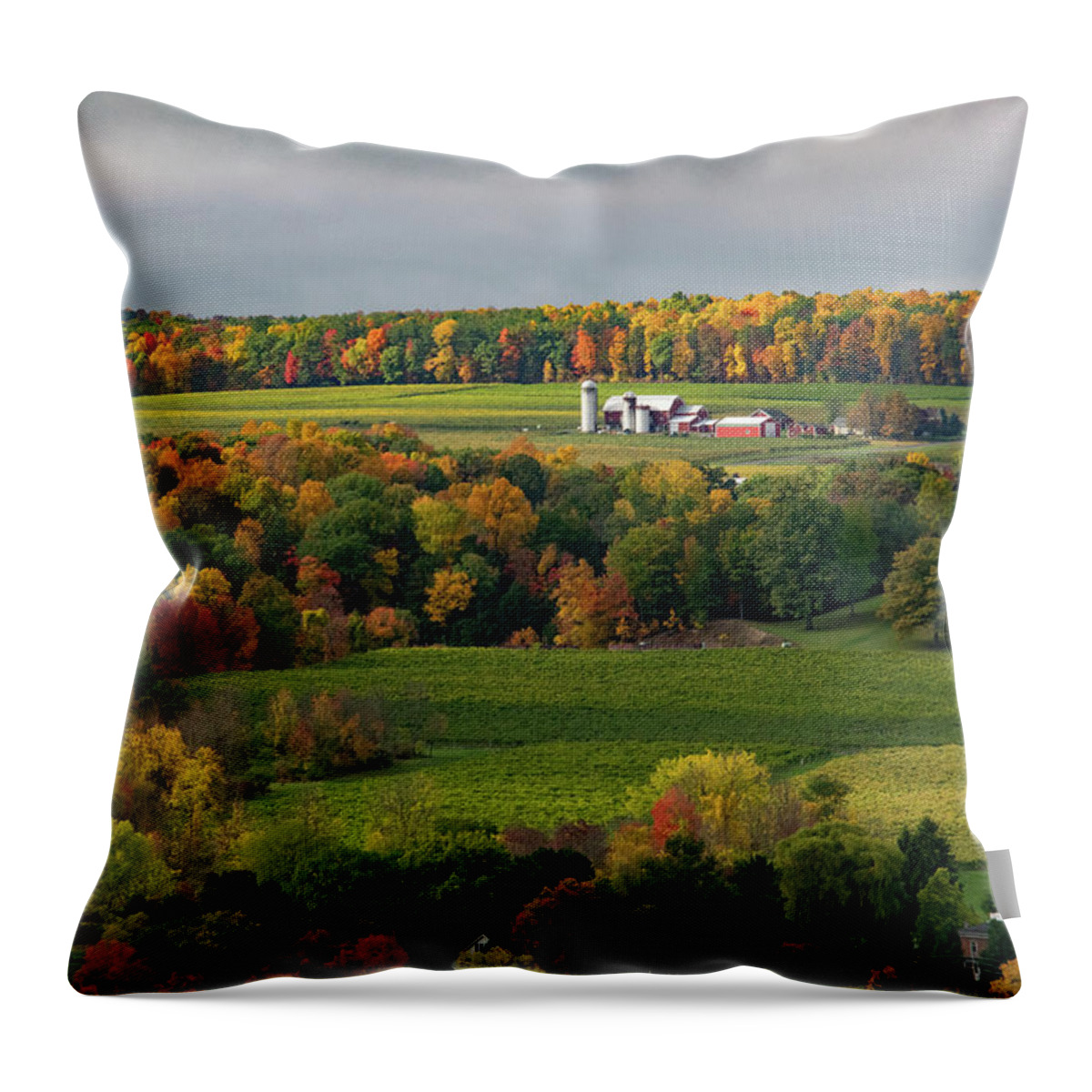 Farm Throw Pillow featuring the photograph Farmhouse Among the Autumn Colors by Nicole Lloyd