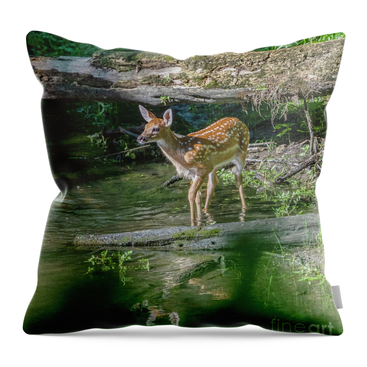 Fawn Throw Pillow featuring the photograph Fawn in the Creek by Sandra Rust