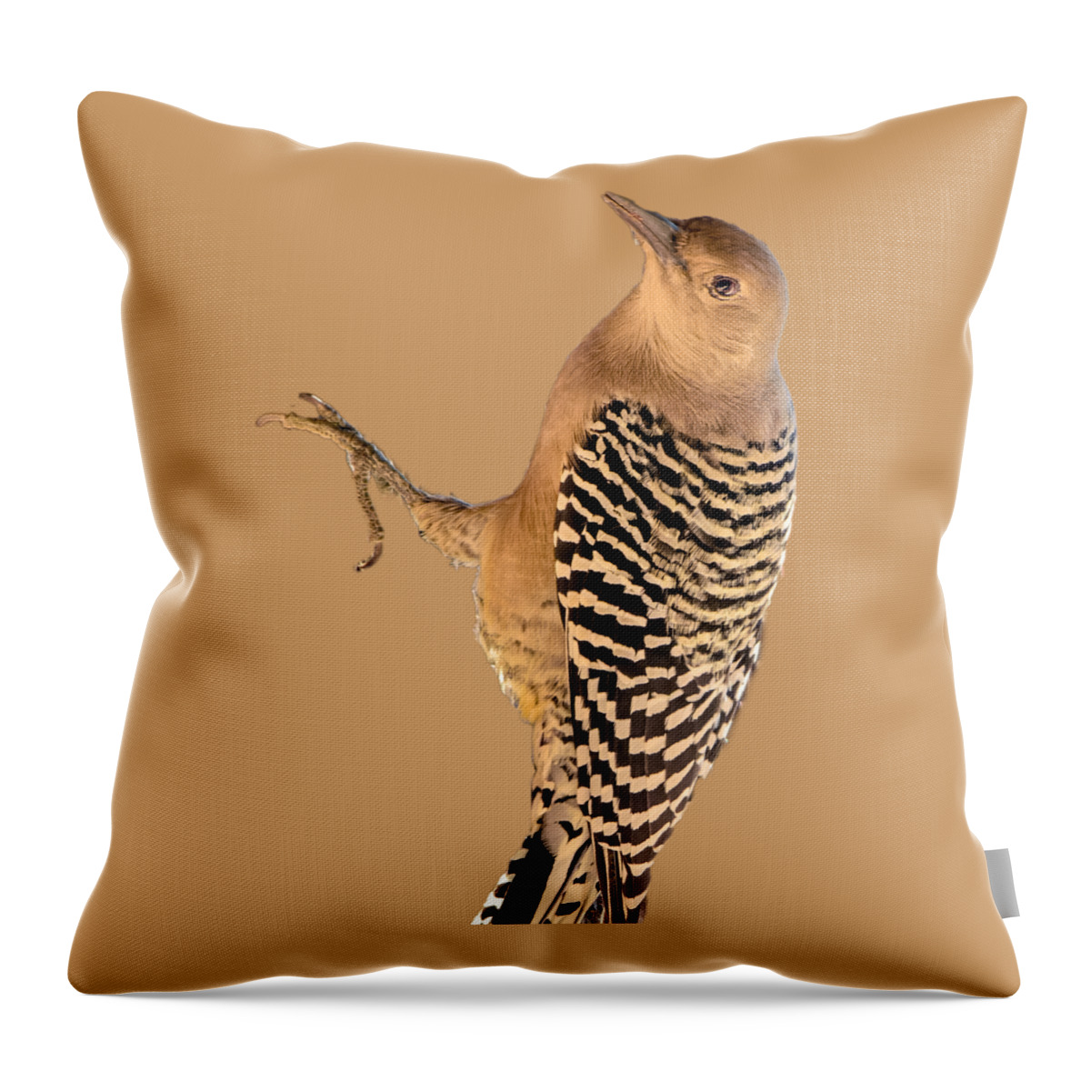 Animal Throw Pillow featuring the photograph Female Gila Woodpecker 220930 by Mark Myhaver
