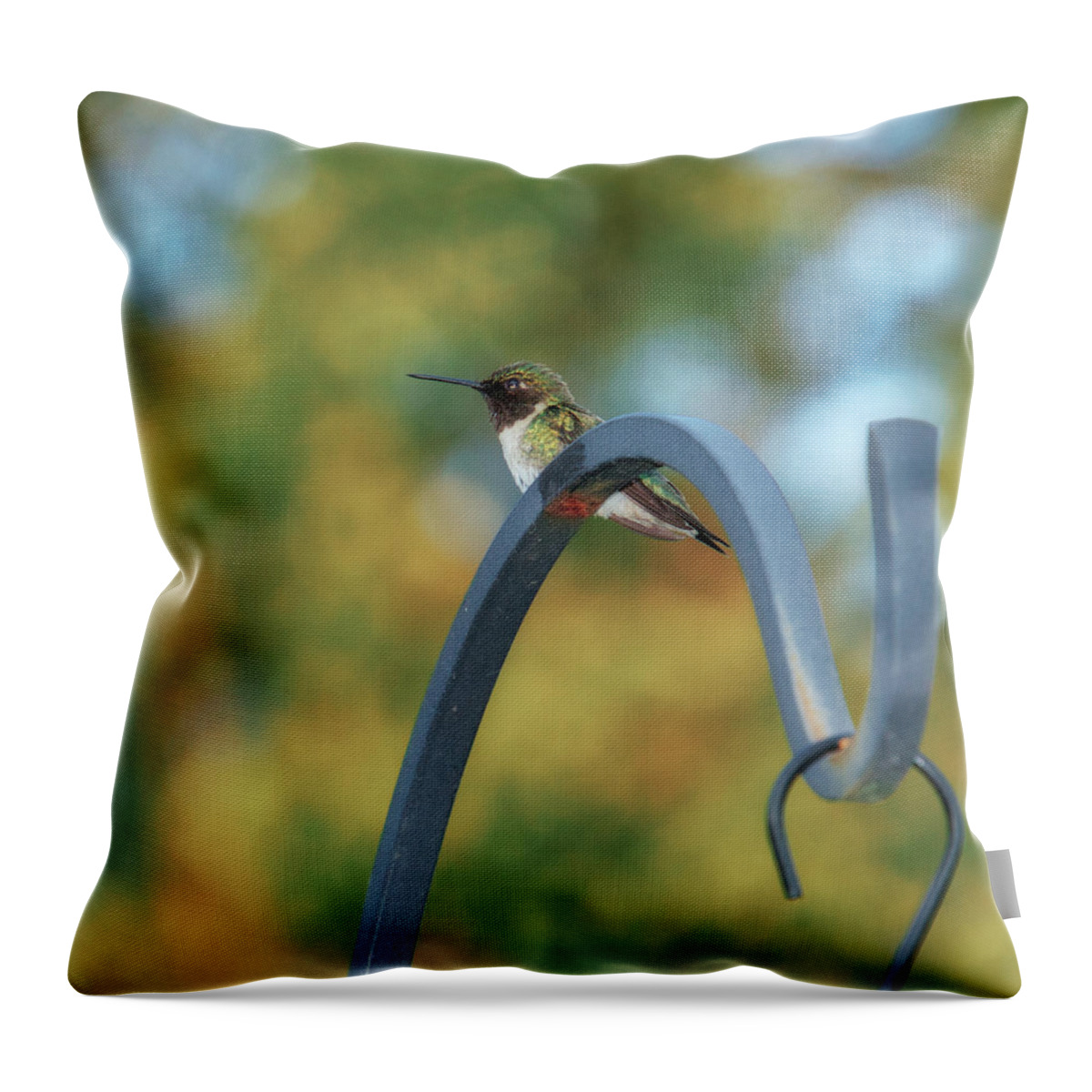 Female Throw Pillow featuring the photograph Female Ruby-Throated Hummingbird by Frank Mari