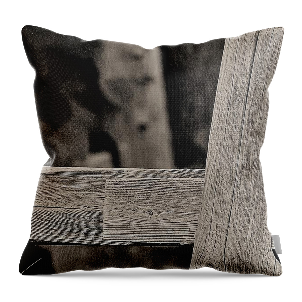 Fence Post Wood B&w Throw Pillow featuring the photograph Fence Post by John Linnemeyer