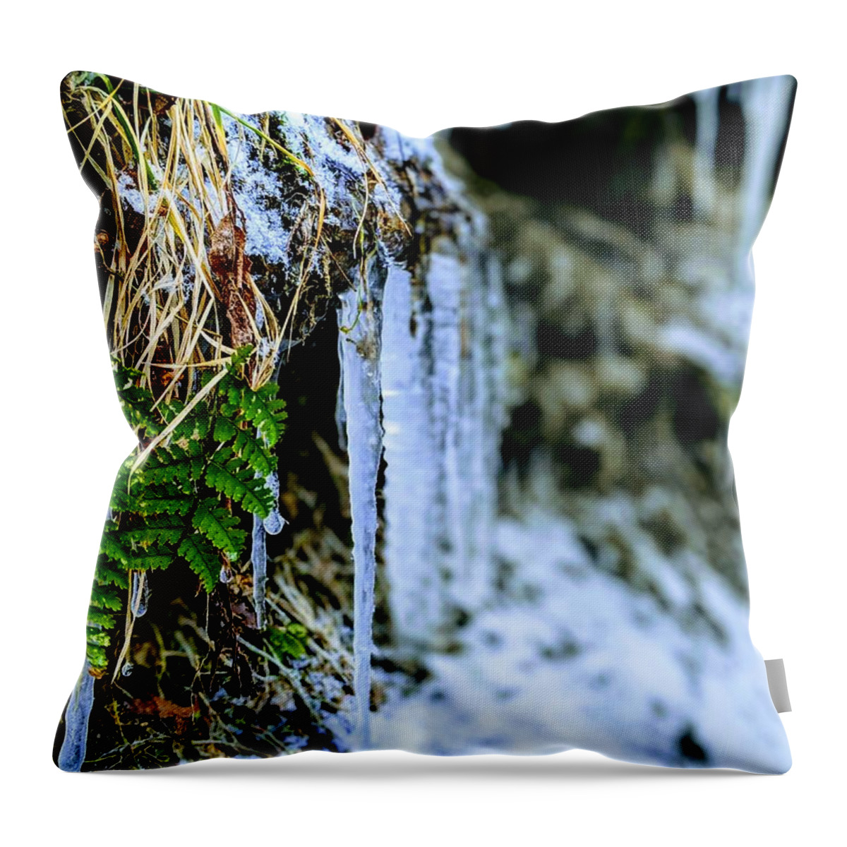  Throw Pillow featuring the photograph Fern and Icicles by Brad Nellis