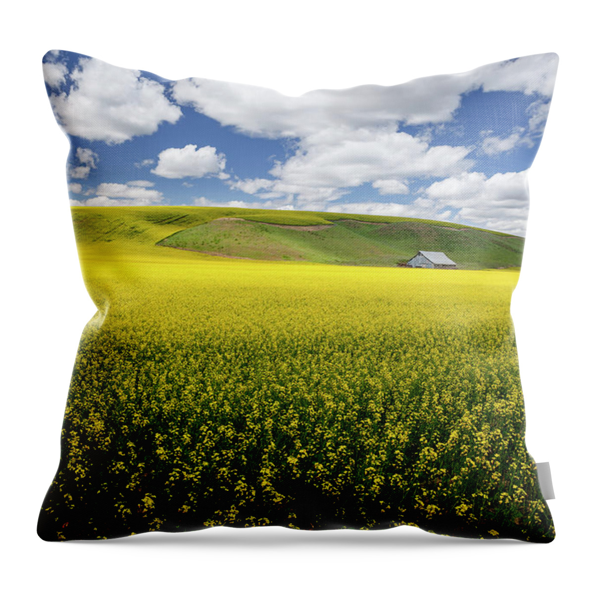 Palouse Throw Pillow featuring the photograph Fields of Gold by Manpreet Sokhi