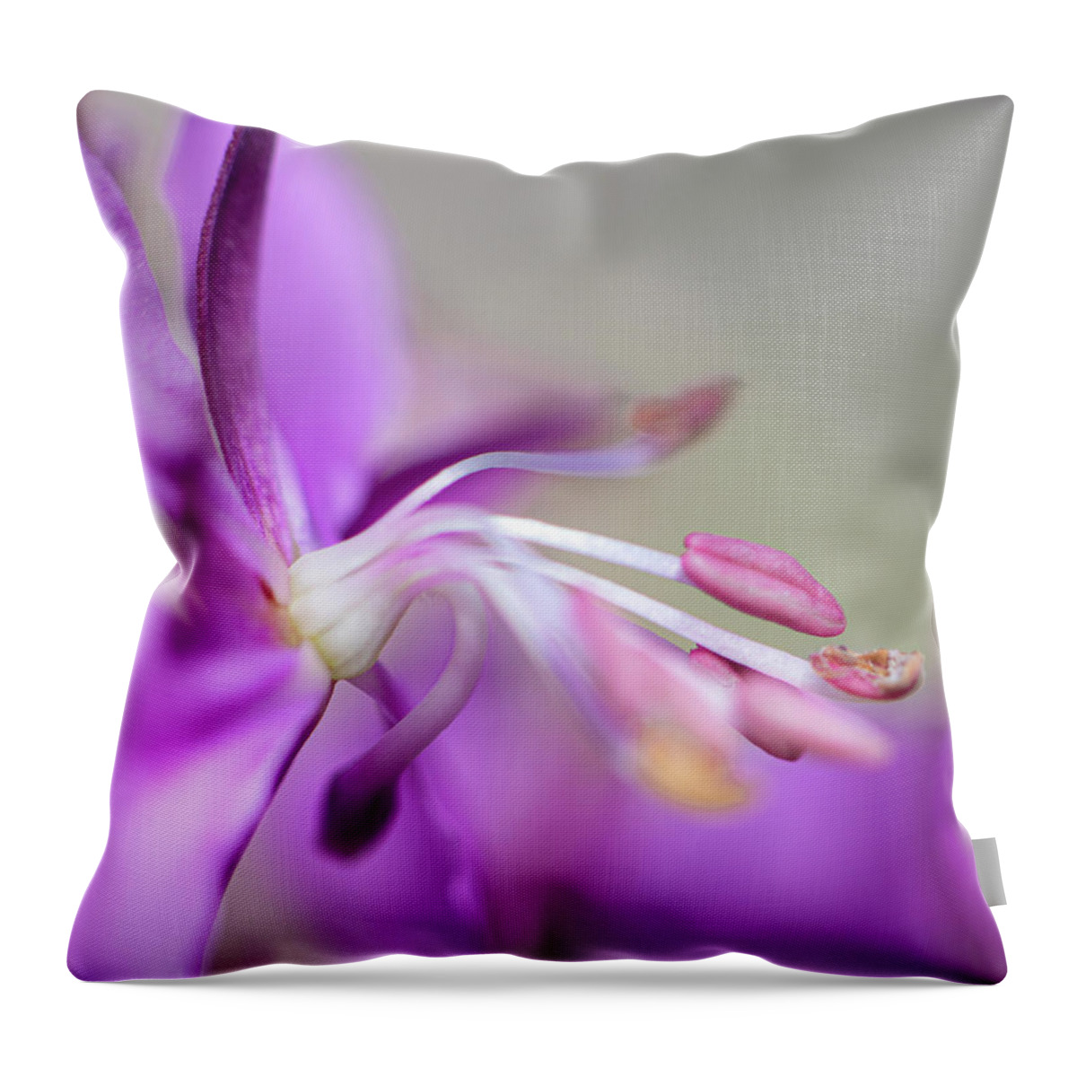 Fireweed Throw Pillow featuring the photograph Fireweed Close Up by Karen Rispin