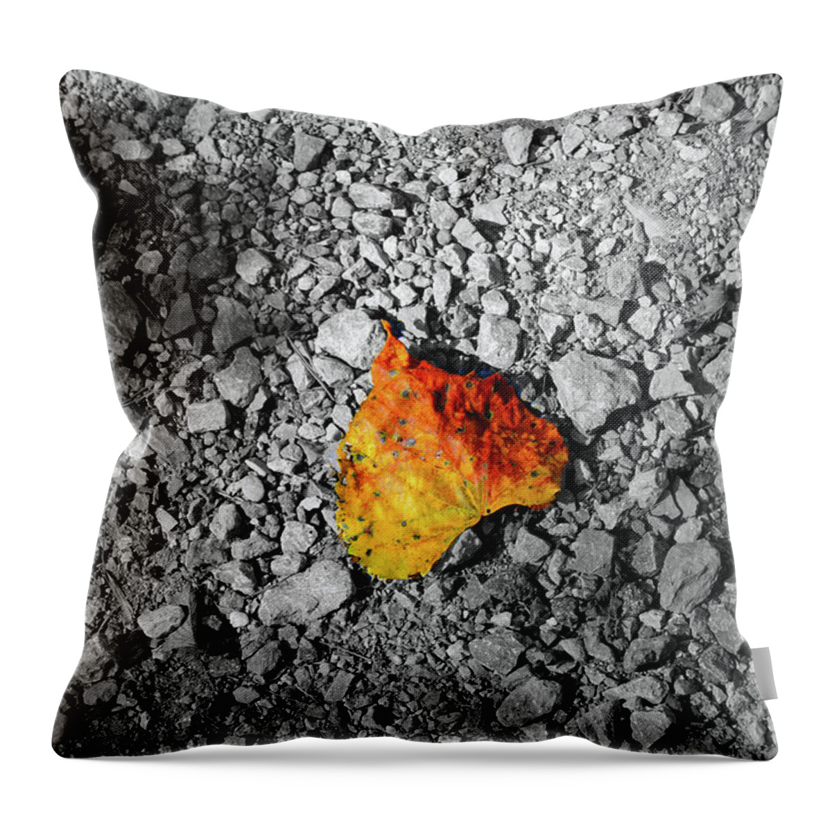 Leaf Throw Pillow featuring the photograph First Leaf of Autumn by Christopher Reed
