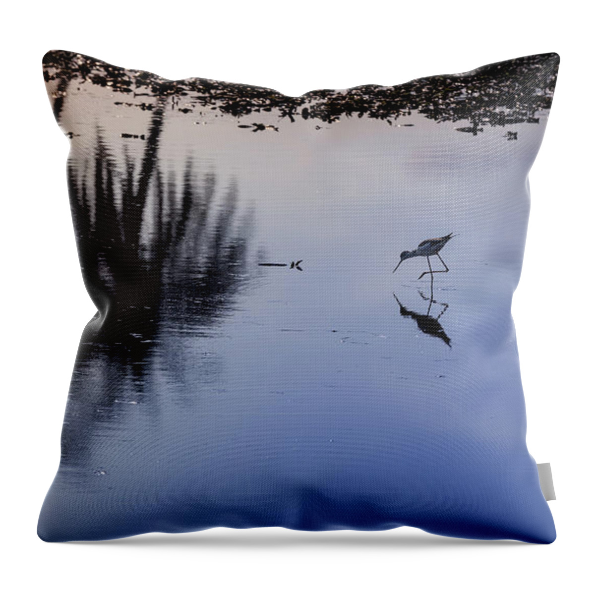 Amaurornis Phoenicurus Throw Pillow featuring the photograph Fishing is a lonely sport by Manpreet Sokhi