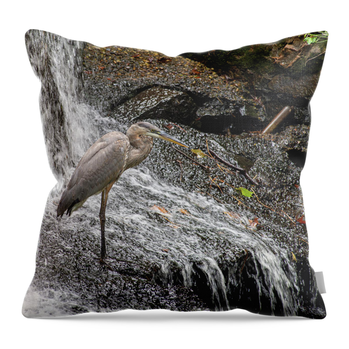 Waterfall Throw Pillow featuring the photograph Fishing or showering by Stacy Abbott