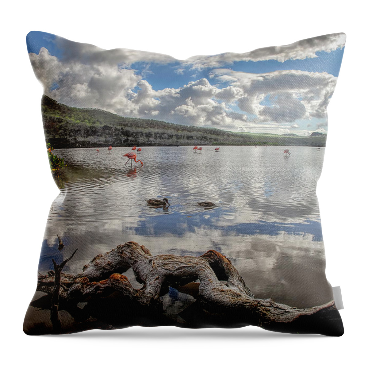 Ecuador Throw Pillow featuring the photograph Flamingo lagoon - Floreana island by Henri Leduc