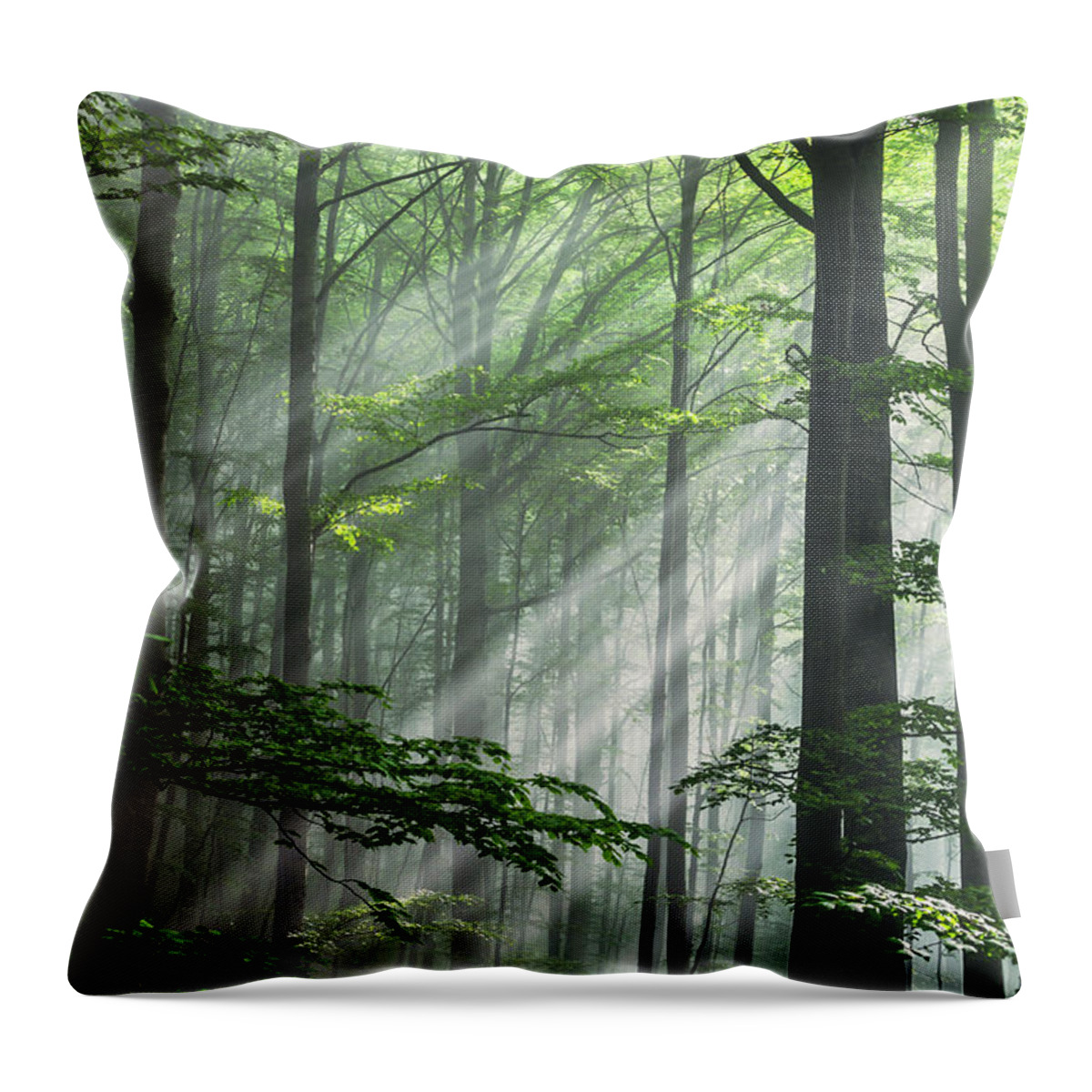 Fog Throw Pillow featuring the photograph Fleeting Beams by Evgeni Dinev