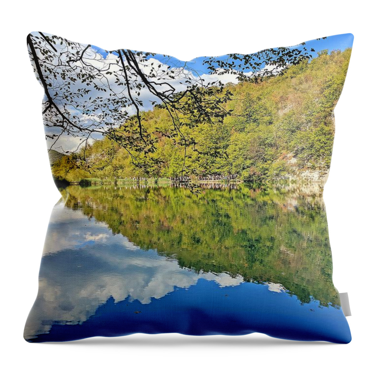 Plitvice Lakes Throw Pillow featuring the photograph Floating forest by Yvonne Jasinski