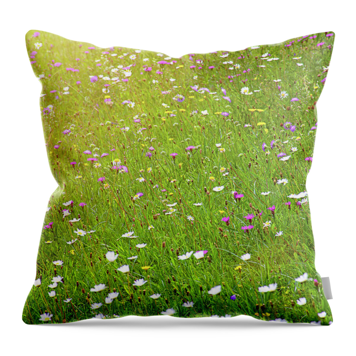 Idyllic Throw Pillow featuring the photograph Flower meadow in sunlight by Bernhard Schaffer